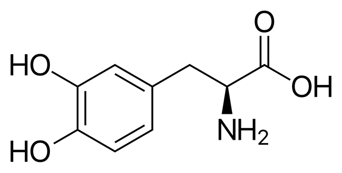 dopamine molecular structure