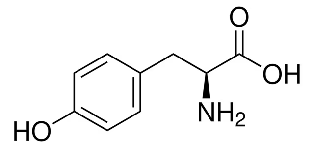 molecular structure of l-tyrosine