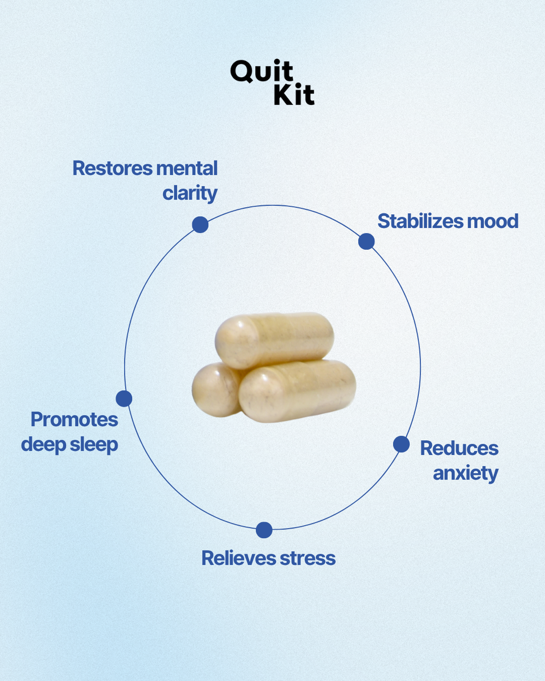 Quit Kit 21-Day Recovery System